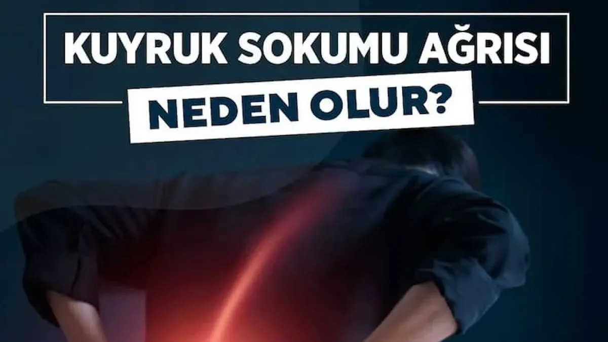 Koksidini belirtileri nelerdir